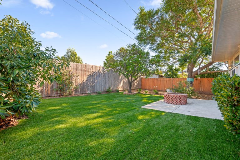 16 - Back Yard